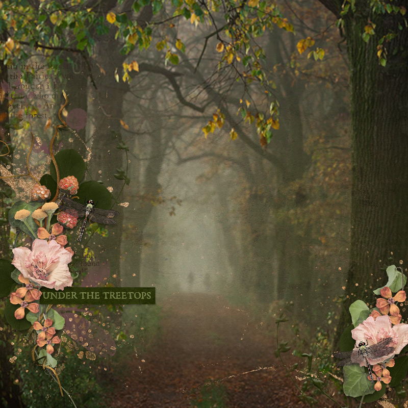 The Mystical Forest