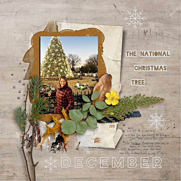 The National Christmas Tree Dec2019-MOC8_Jan21web