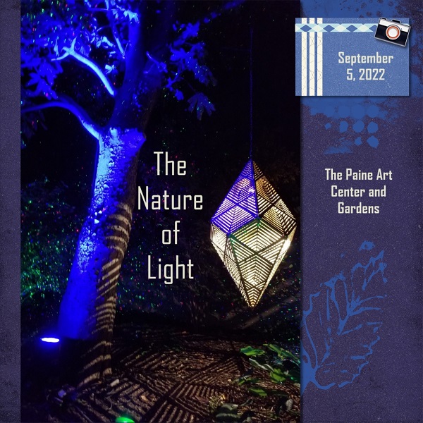The Nature Of Light Title Page