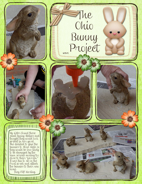 The-Ohio-Bunny-Project