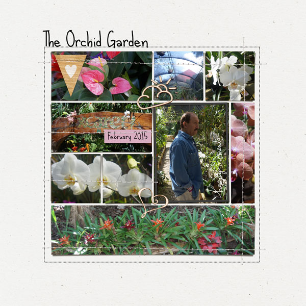 The Orchid Garden