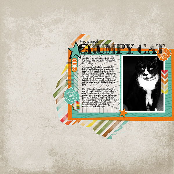 The Original Grumpy Cat