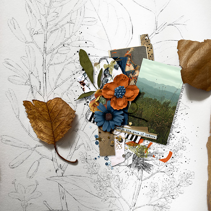 THE PACE OF NATURE