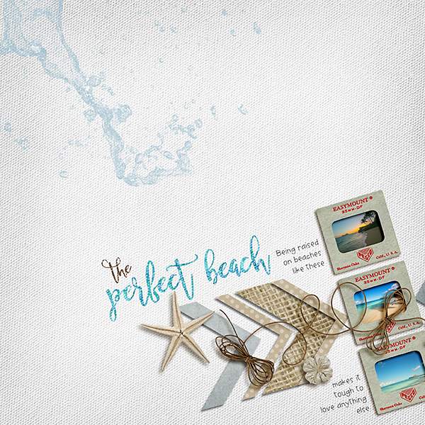 The Perfect Beach