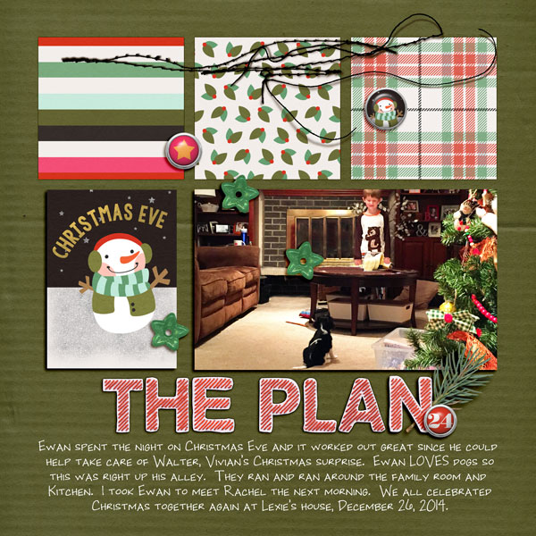 The Plan