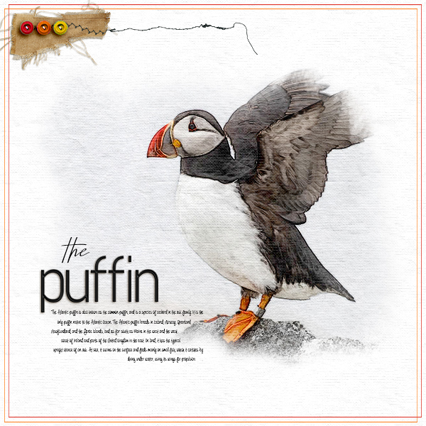 The Puffin