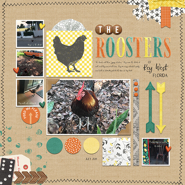 The Roosters of Key West