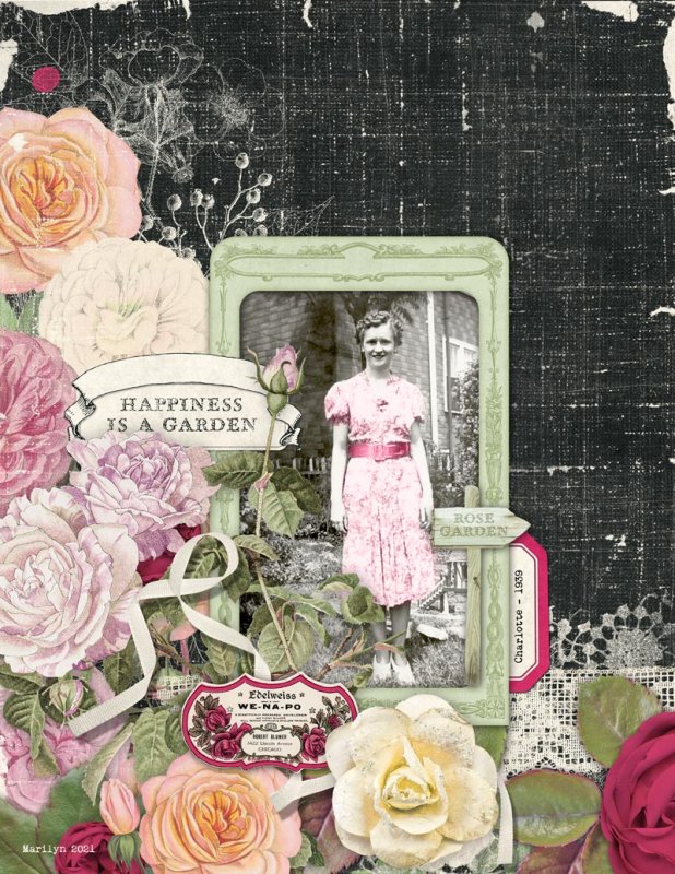The Rose Garden