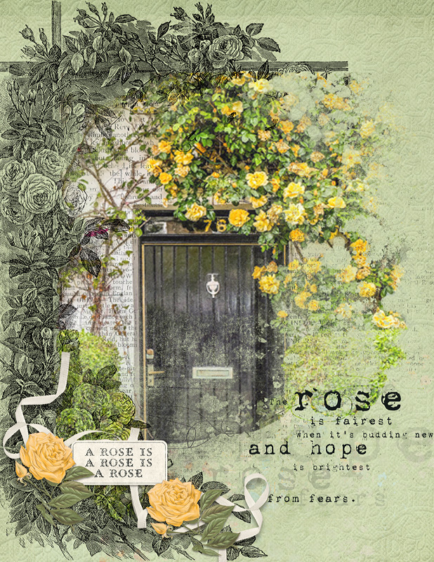The Rose Garden