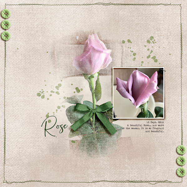 The Rose
