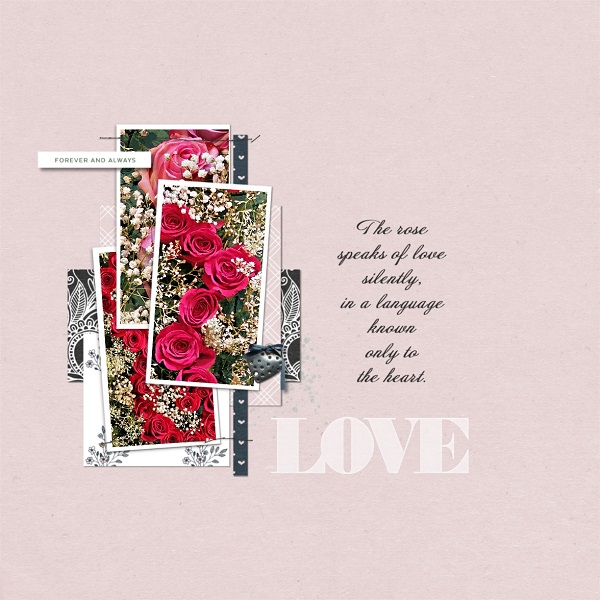 The Rose