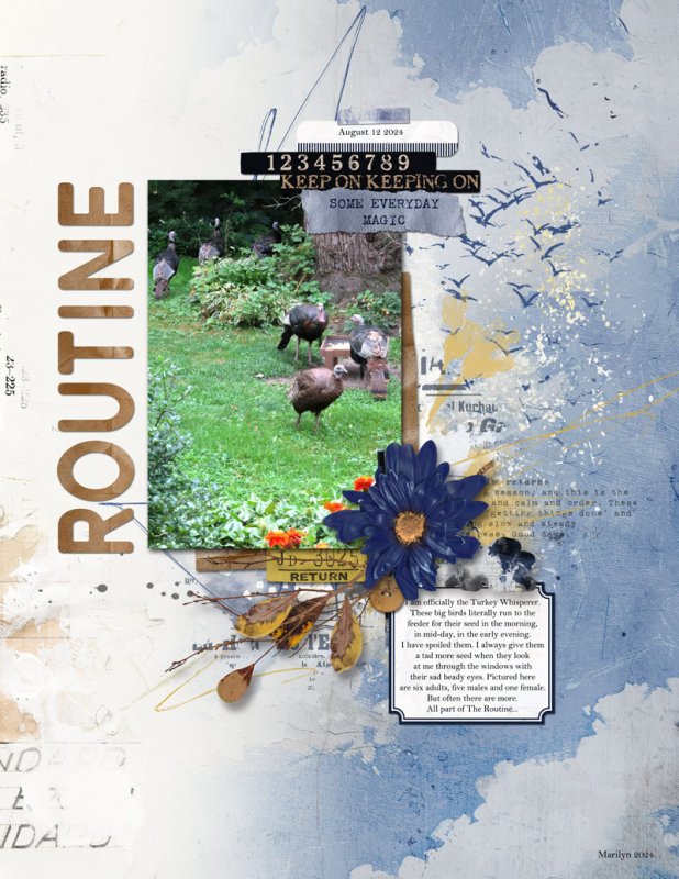 The Routine