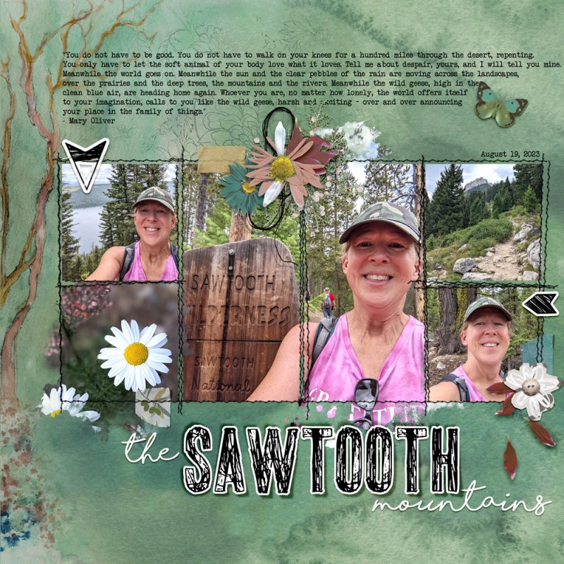 The-sawtooth-mountains