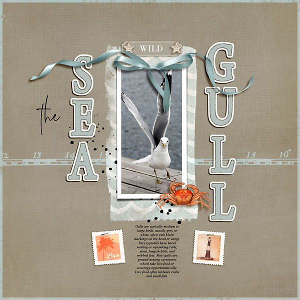 The Sea Gull