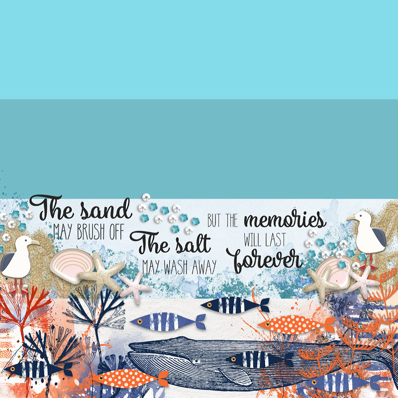 The Sea - Rockpools