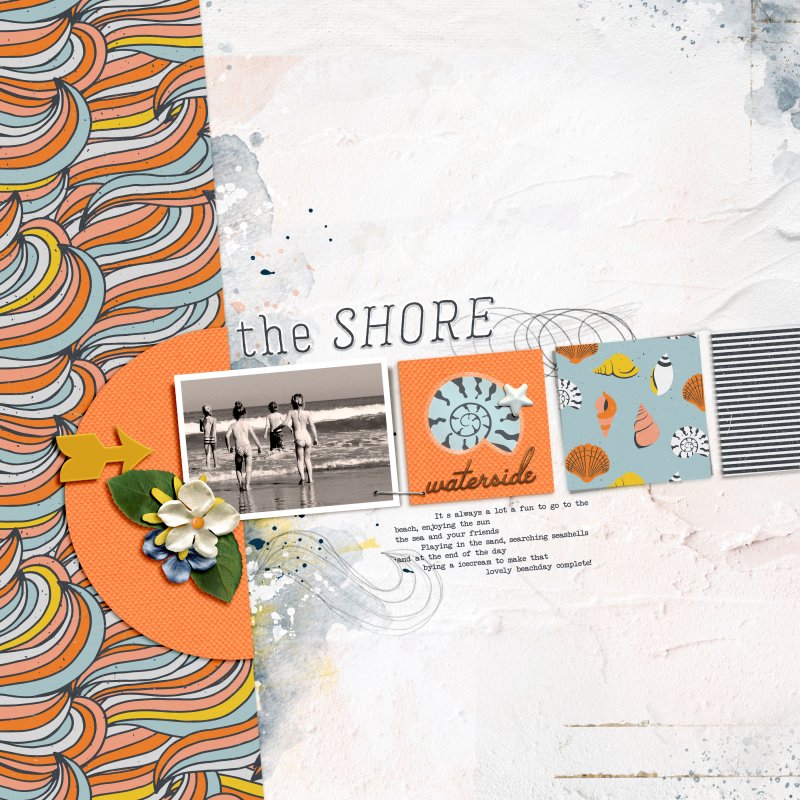 The Shore