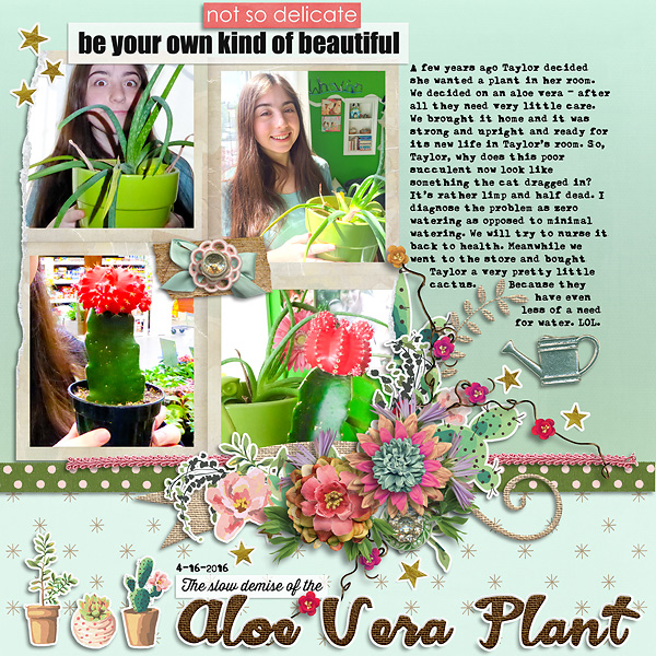 The Slow Demise of the Aloe Vera