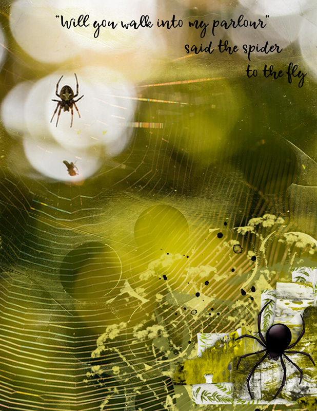 The Spider & the Fly