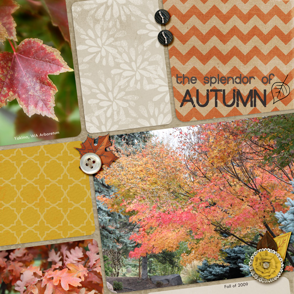 The Splendor of Autumn