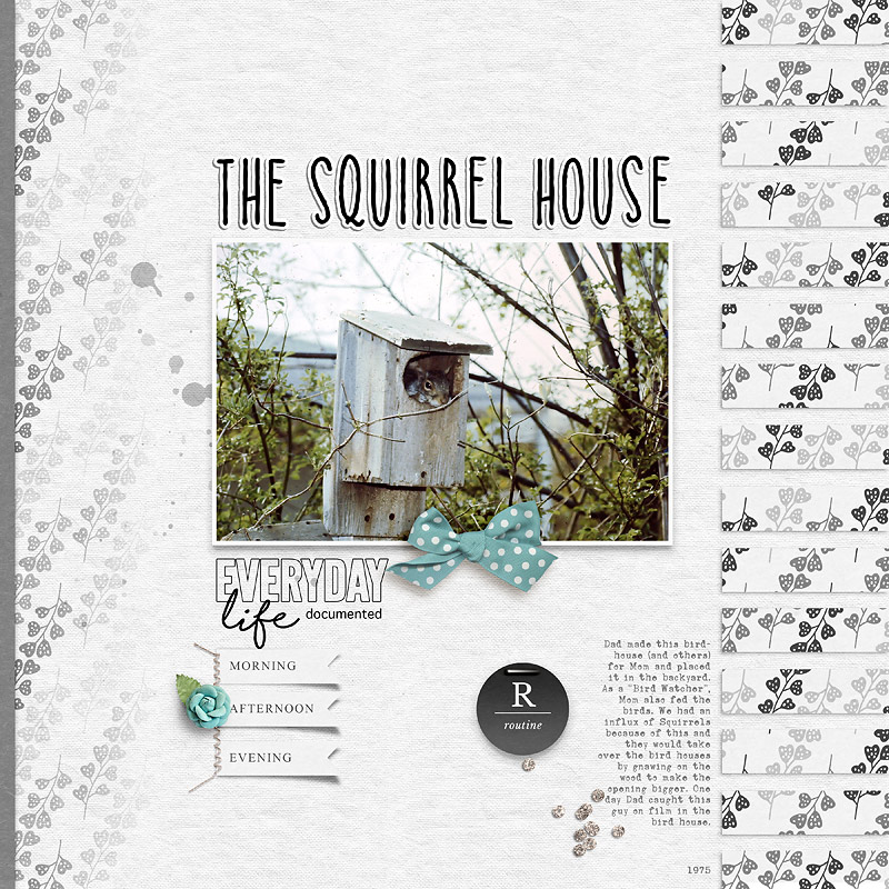 The Squirrel House