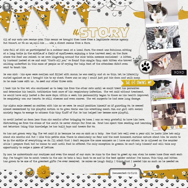 The-Story---Day-11