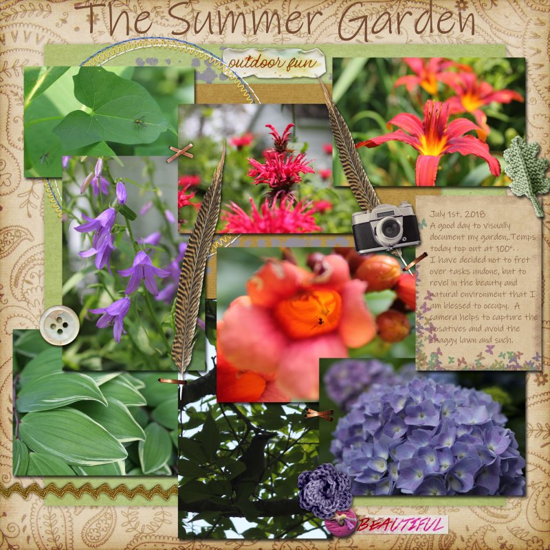 The Summer Garden 2018