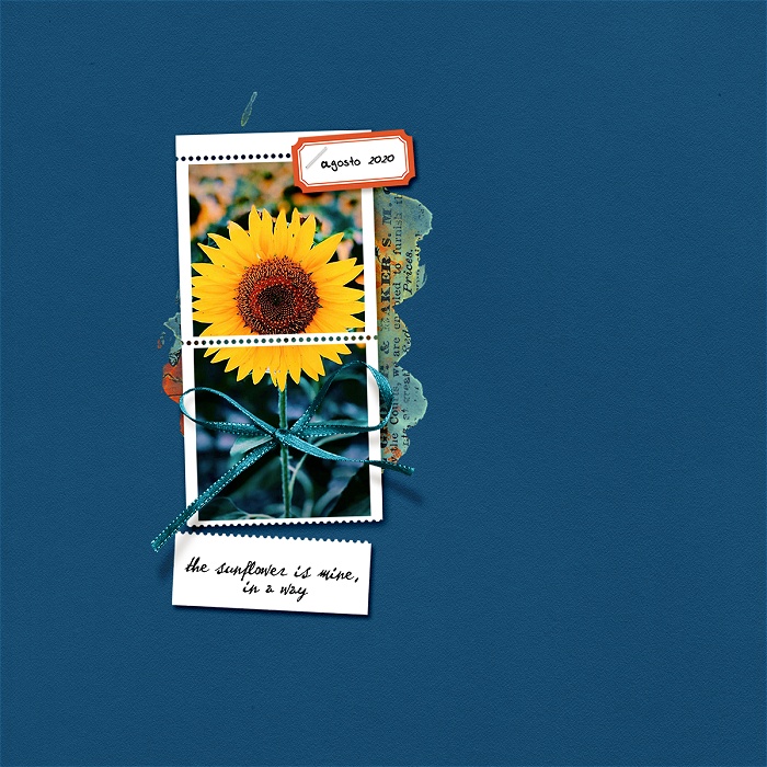 The Sunflower Is Mine