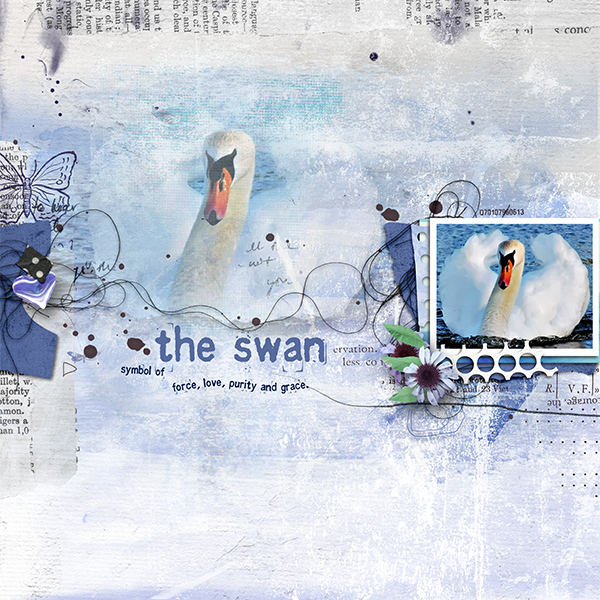 The-swan