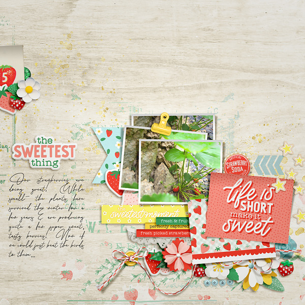 The Sweetest Thing