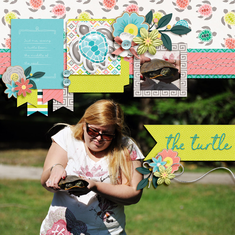 the turtle