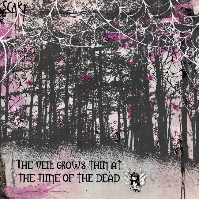 The-veil