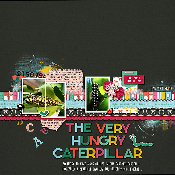The-very-hungry-caterpillar