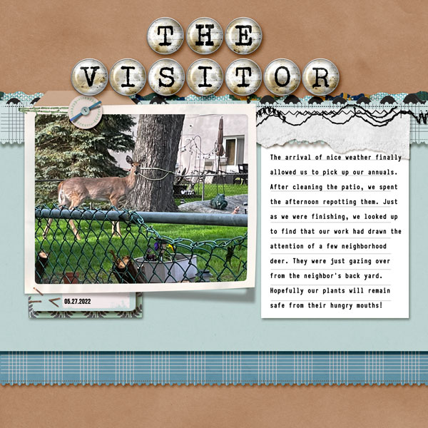 The-Visitor