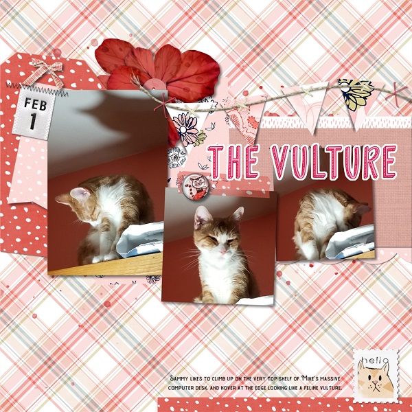The Vulture
