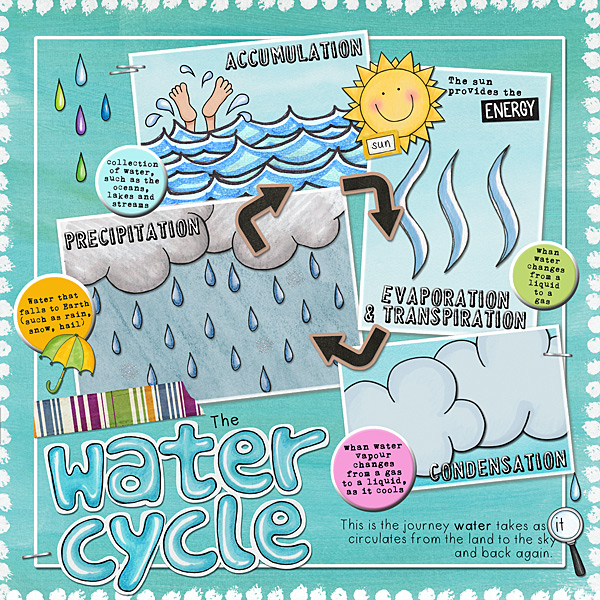 The Water Cycle