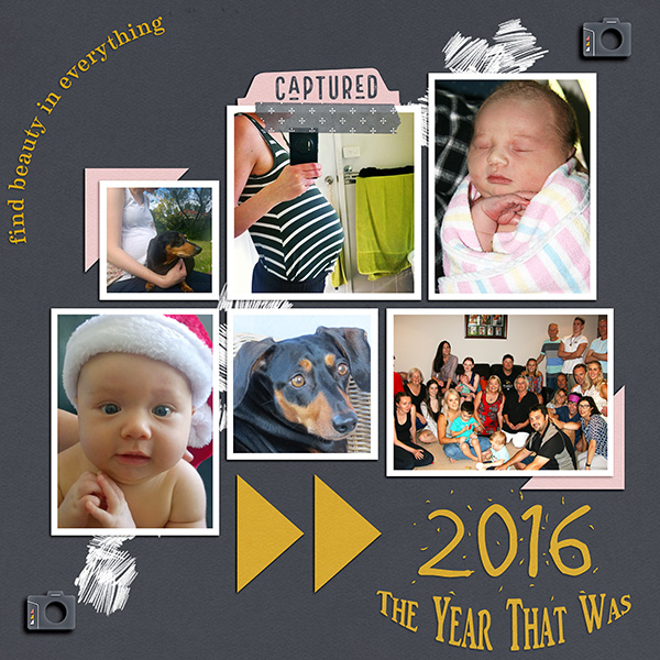 The Year That Was
