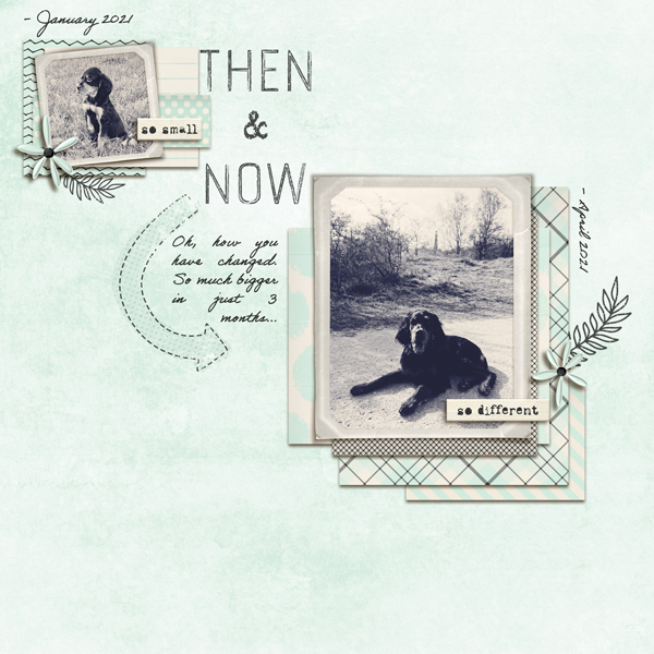 Then & Now