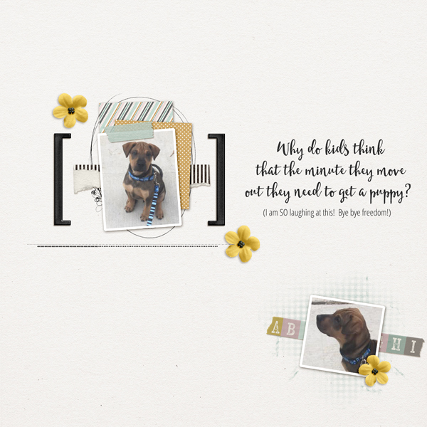Theo - December 2016 Template Challenge