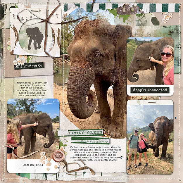 These moments matter: Small Victory / Elephant Sanctuary