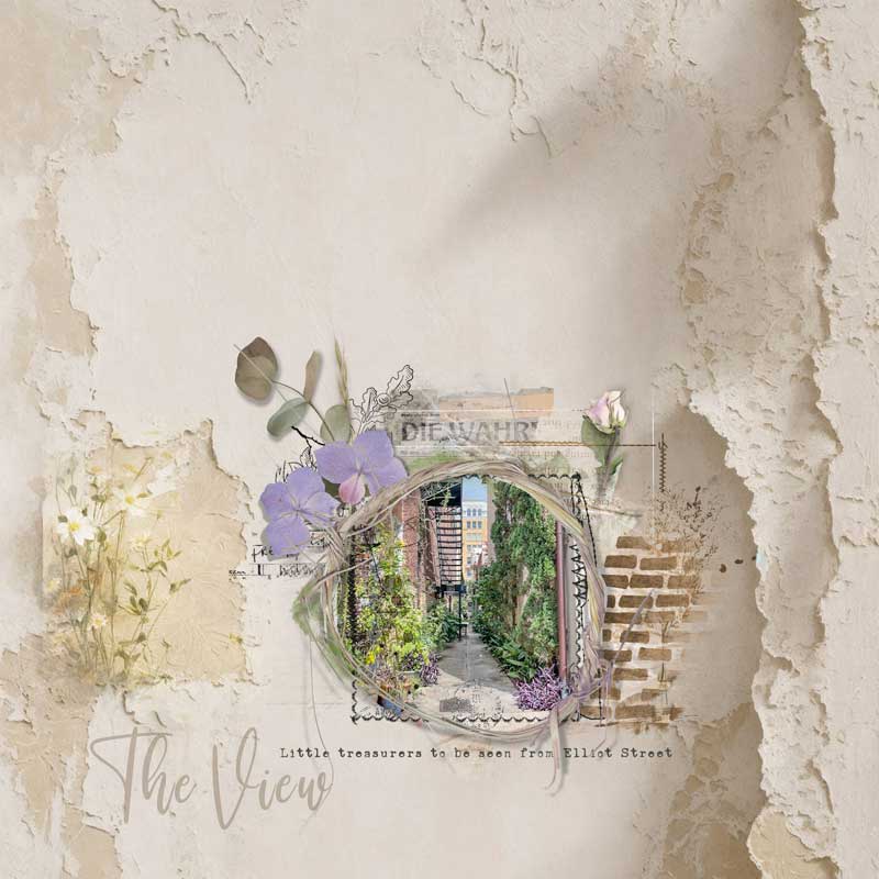 TheView