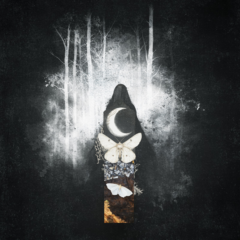 TheWhiteMoth
