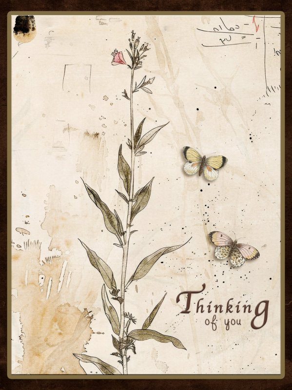 Thing of you