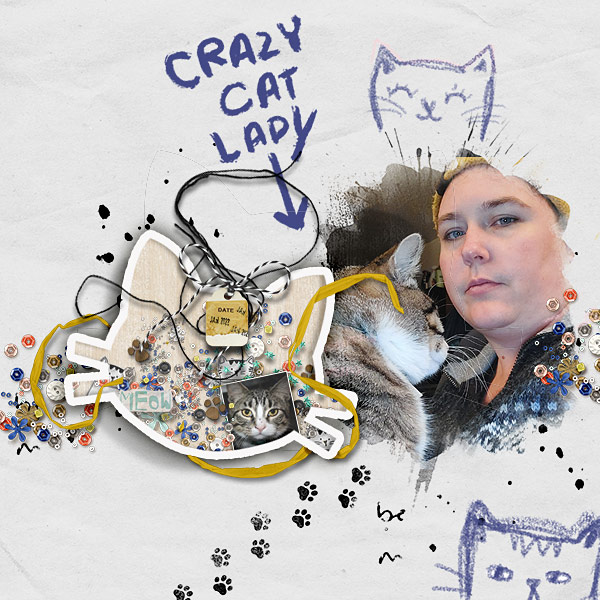 This Crazy Cat Lady