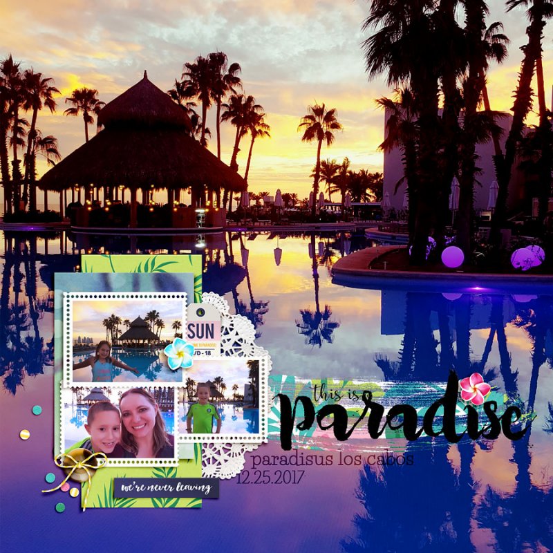 This Is Paradise Moc19