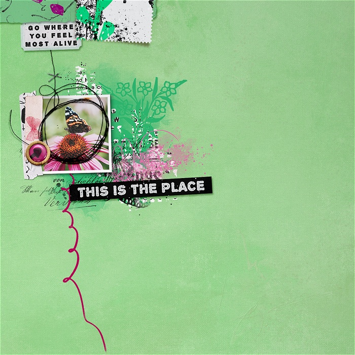 this is the place