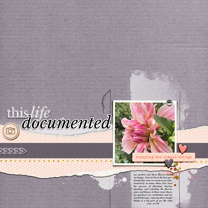 this life documented