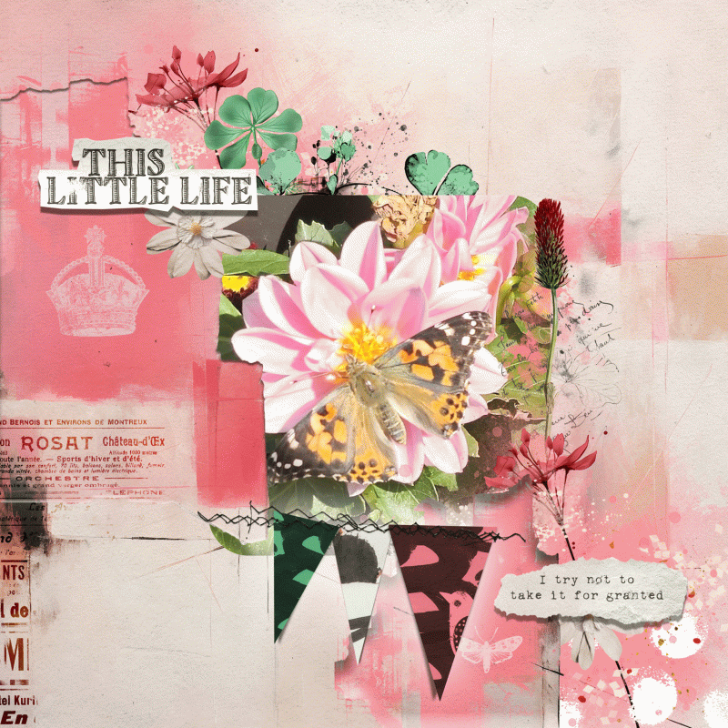 This-Little-Life-Butterfly-Edition