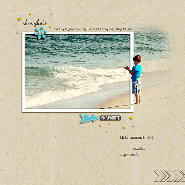 This Photo, MOC #8