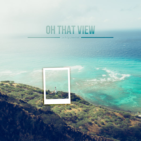 this view
