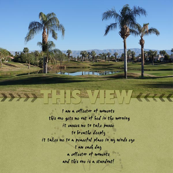 This View